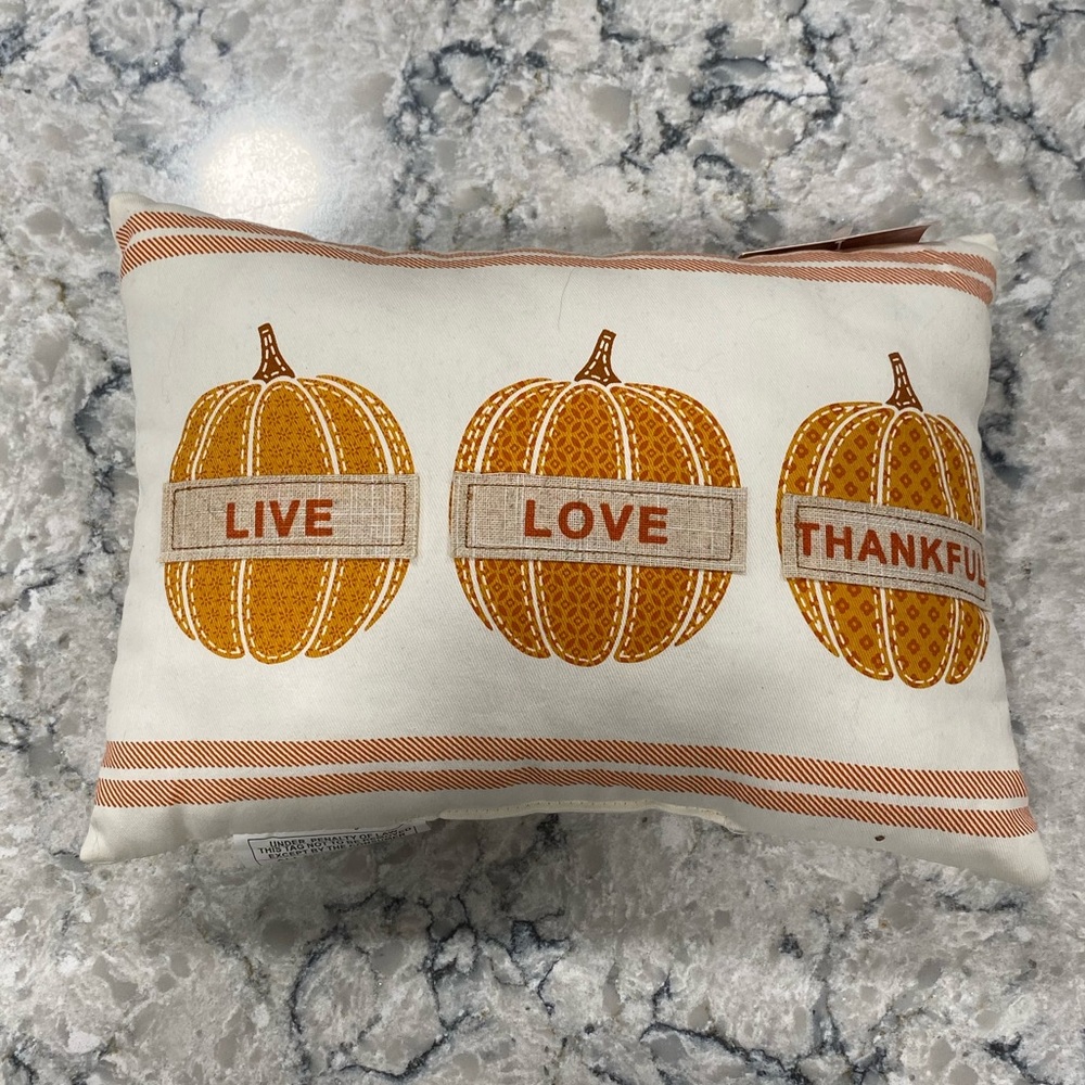 Fall Decorative Pillow 🍂